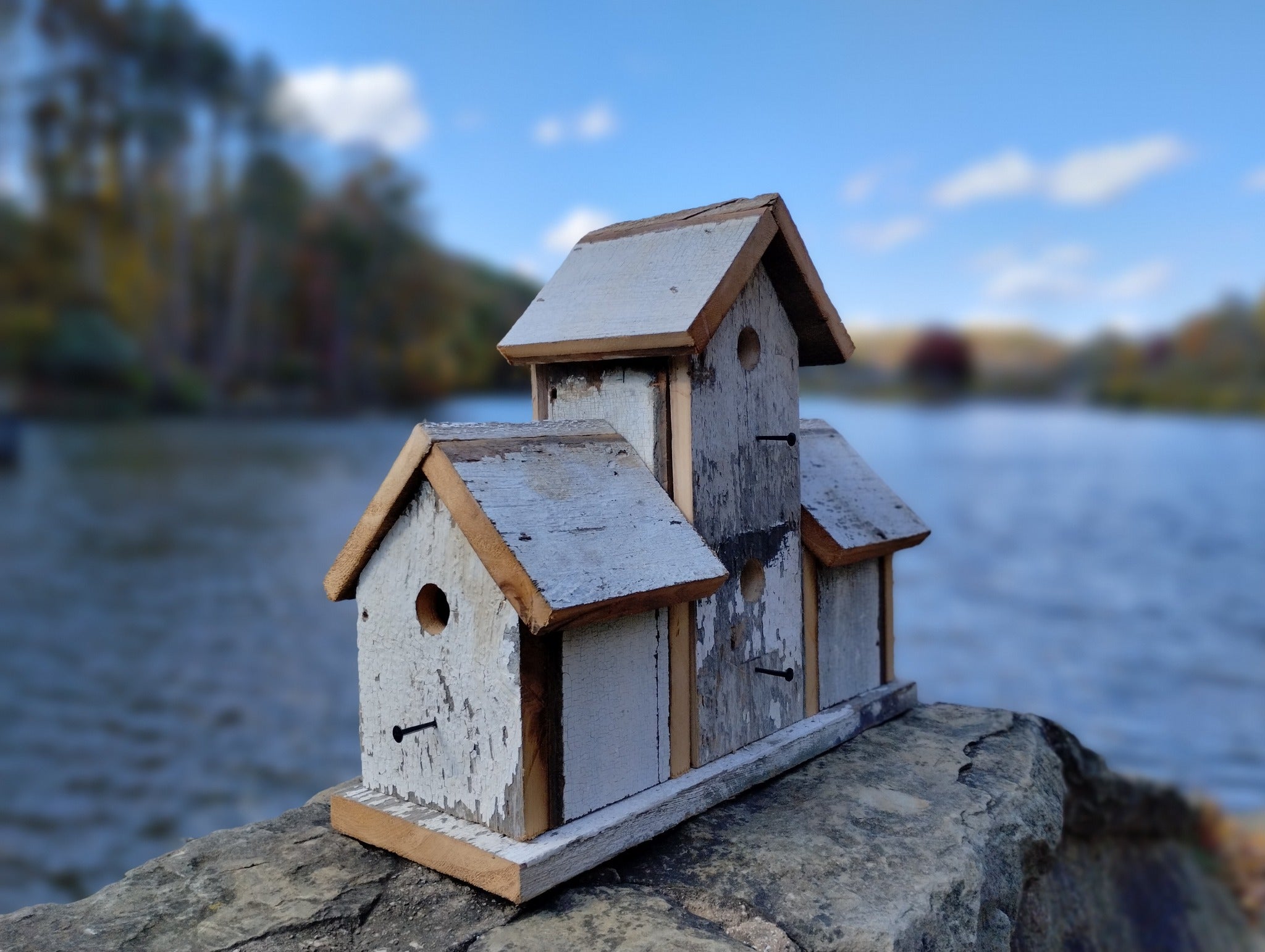 3 Rm. Birdhouse