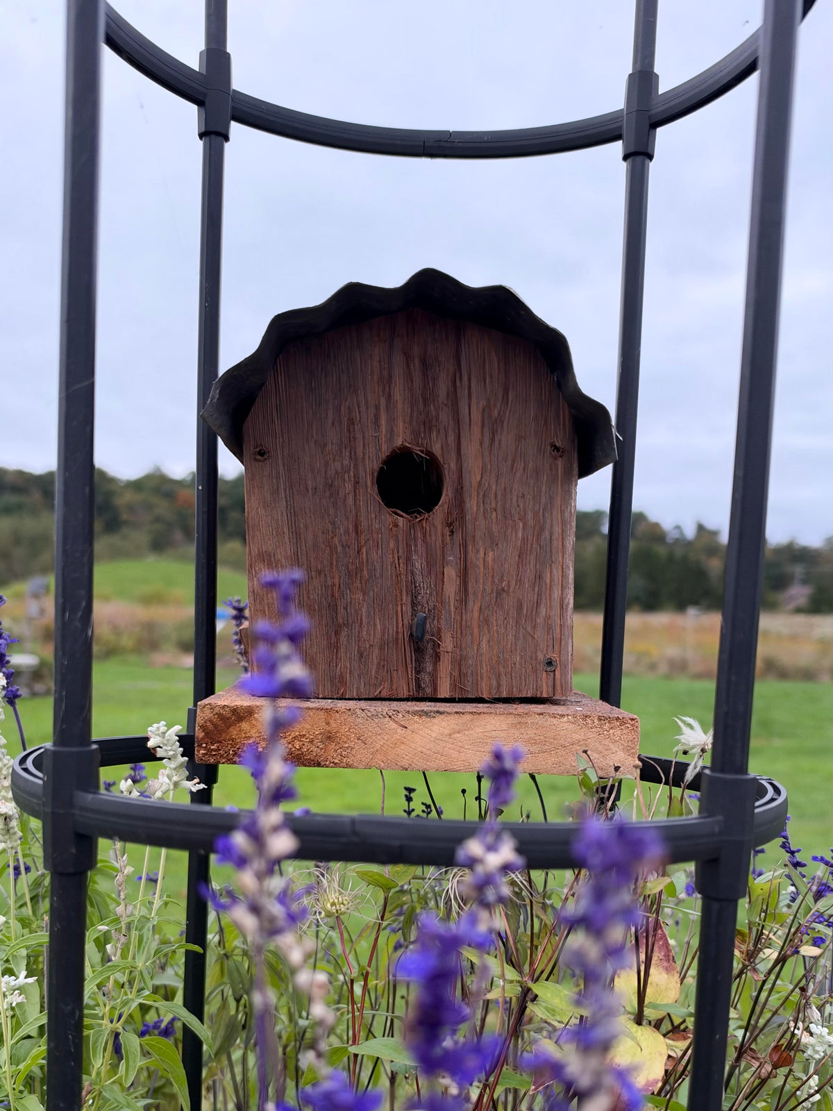 Shed Roof Bluebird House Brown