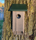 Bluebird House