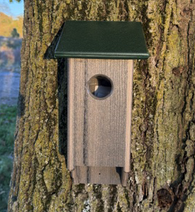 Bluebird House