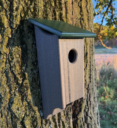 Bluebird House