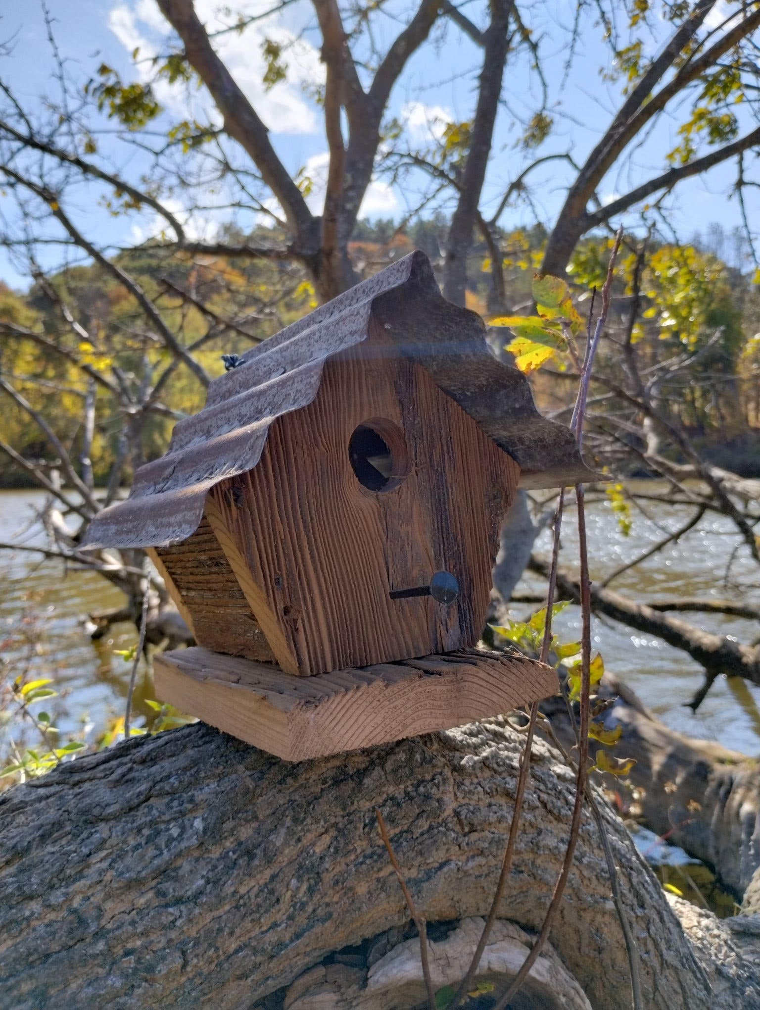 Peak Roof Bluebird House