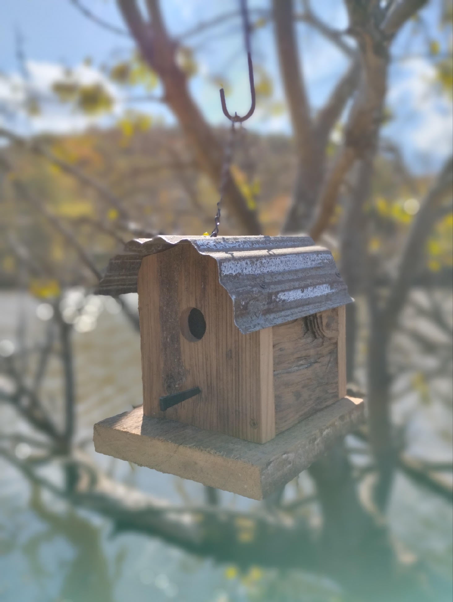 Shed Roof Bluebird House Brown