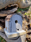 Shed Roof Bluebird House White