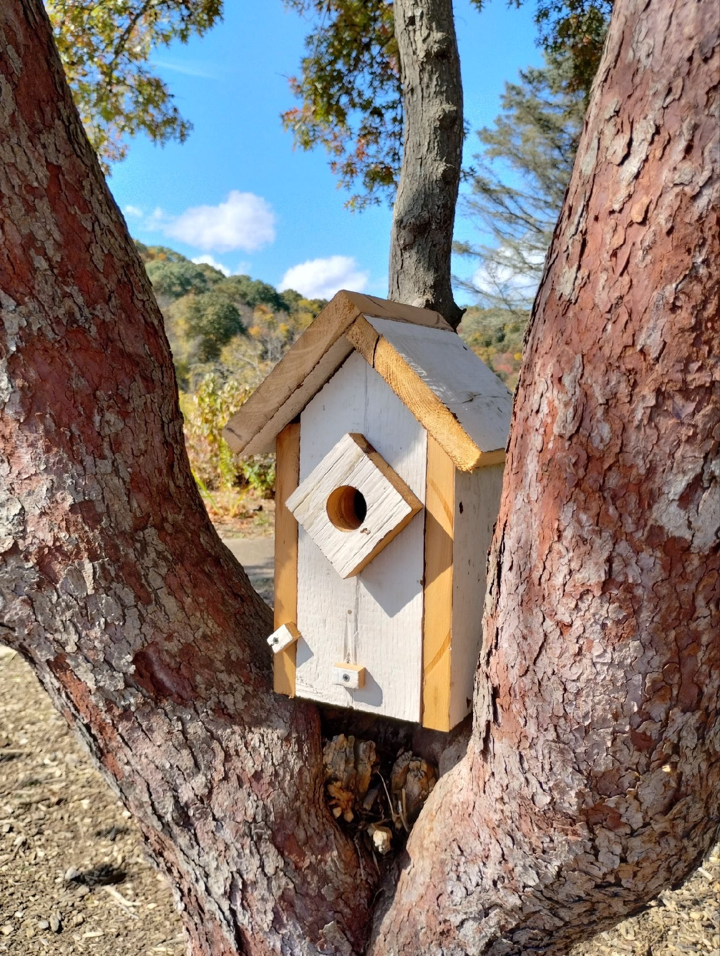 Diamond opening Birdhouse - White